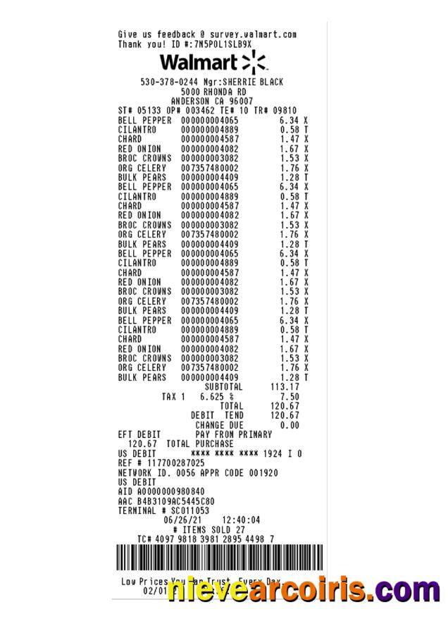 WALMART payment check template